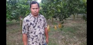 গ্যাপ পদ্ধতিতে আম চাষ করে ইউরোপে রফতানি, হাকিমপুরের কৃষক নিরঞ্জনের সাফল্য